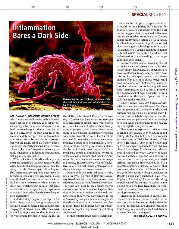 www.sciencemag.org    SCIENCE    VOL 330    17 DECEMBER 2010 SPECIALCR