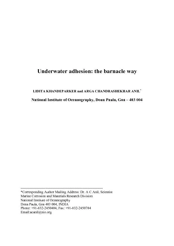 Underwater adhesion: the barnacle way