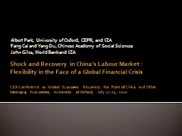 Shock and Recovery  in China’s Labour Market :