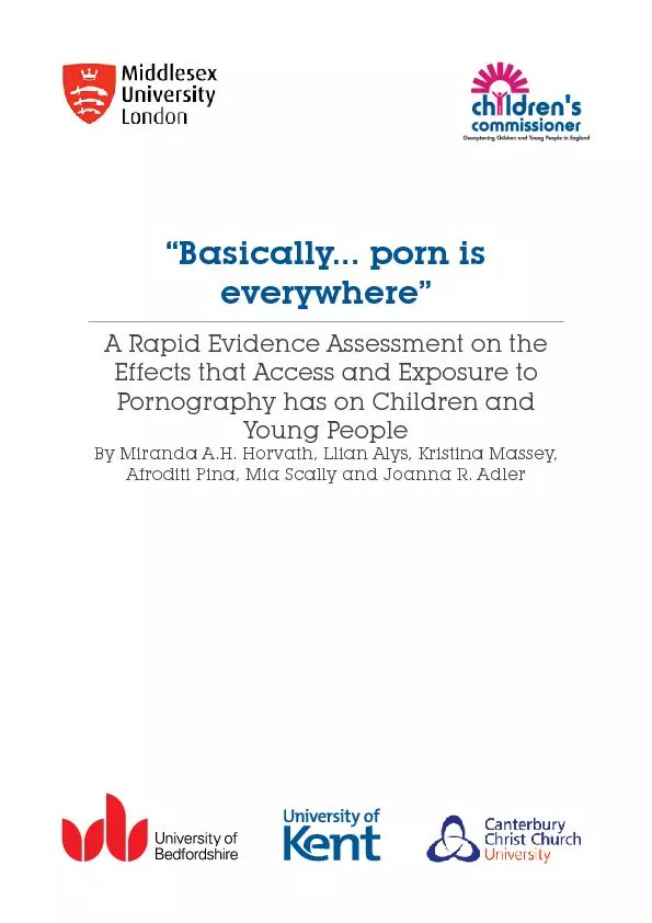 “Basically... porn is A Rapid Evidence Assessment on the Pornogra