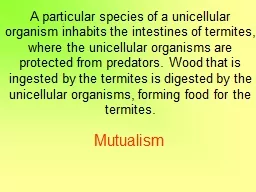 A particular species of a unicellular organism inhabits the