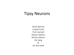 Tipsy Neurons