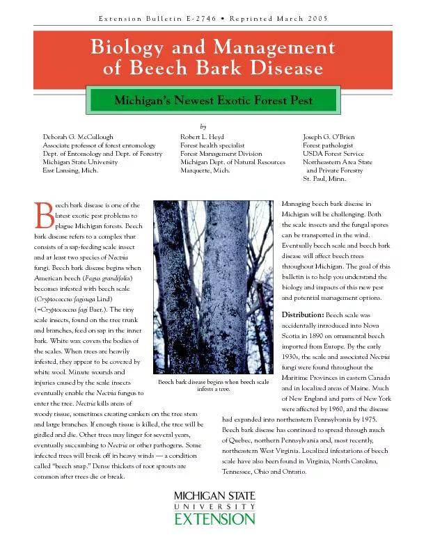 bark disease refers to a complex that