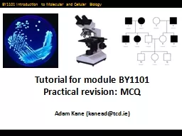 Tutorial for module BY1101