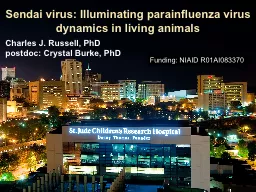 Sendai virus: Illuminating parainfluenza virus dynamics in