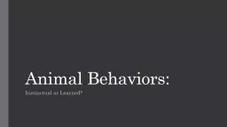 Animal Behaviors: