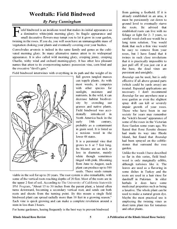 PDF-	\n\r thumbnail