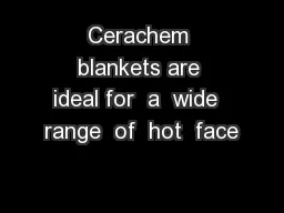 Cerachem blankets are ideal for  a  wide  range  of  hot  face