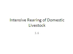 Intensive Rearing of Domestic Livestock