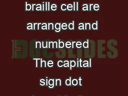 Braille Alphabet The six dots of the braille cell are arranged and numbered The capital sign dot  placed before a letter makes a capital letter