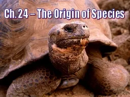 Ch. 24 – The Origin of Species
