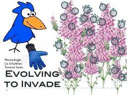 Evolving to Invade