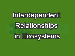 Interdependent Relationships in Ecosystems