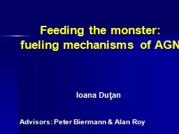 Feeding the monster: fueling mechanisms of AGN