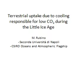 Terrestrial uptake due to cooling responsible for low CO