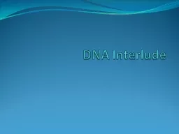 DNA Interlude