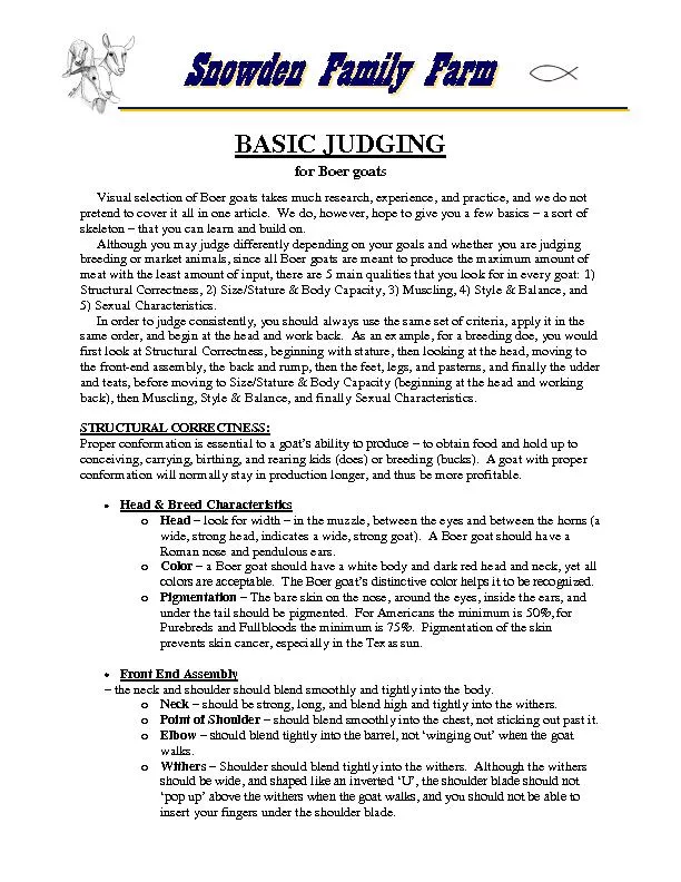 BASIC JUDGING