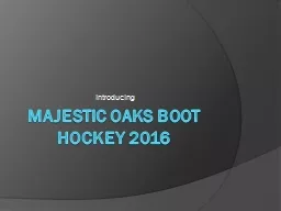Majestic Oaks Boot Hockey 2016