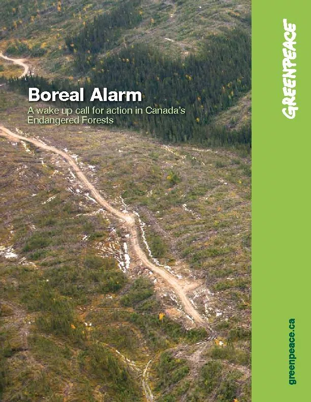 Boreal AlarmA wake up call for action in Canada’s Endangered Fore