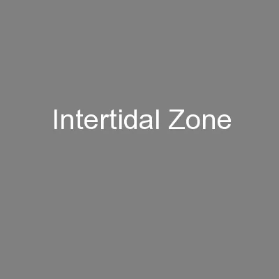 Intertidal Zone