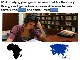 While studying photographs of animals at her University’s