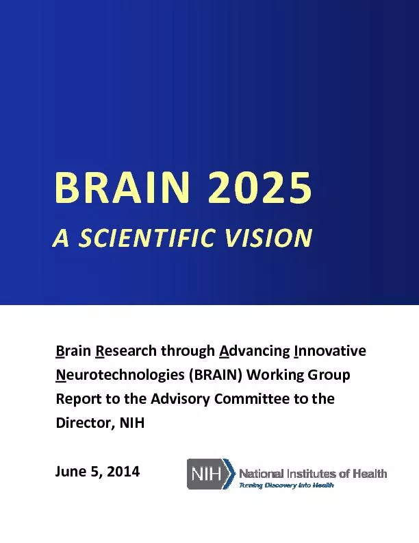 BRAIN2025ASCIENTIFICVISION