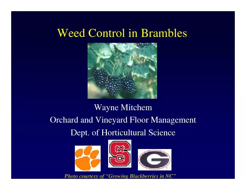 Weed Control in BramblesWayne MitchemOrchard and Vineyard Floor Manage