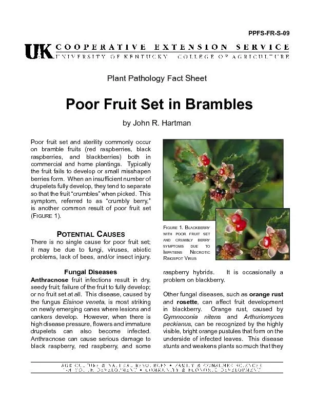 Poor fruit set and sterility commonly occur