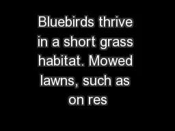 Bluebirds thrive in a short grass habitat. Mowed lawns, such as on res