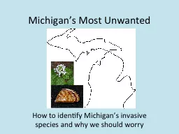 Michigan’s Most Unwanted