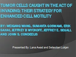 Tumor cells caught in the act of invading: their strategy f