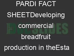 PARDI FACT SHEETDeveloping commercial breadfruit production in theEsta