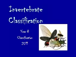 Invertebrate Classification