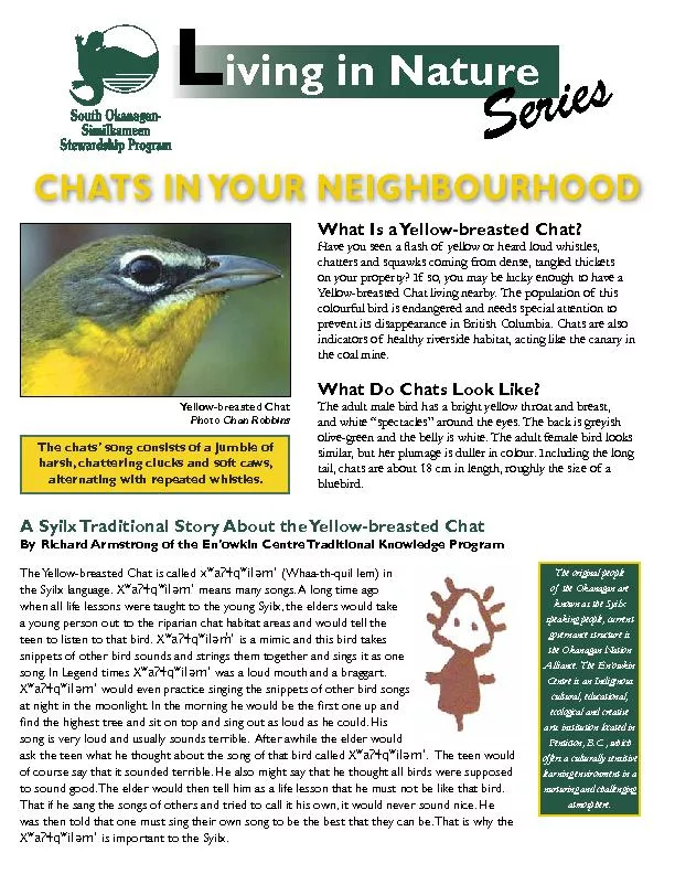 What Is a Yellow-breasted Chat?Have you seen a �ash of yell