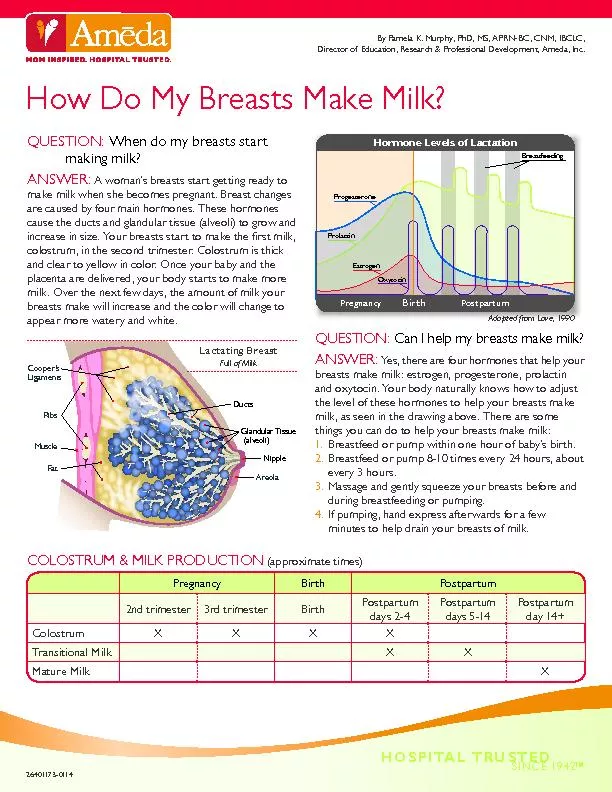 How Do My Breasts Make Milk?