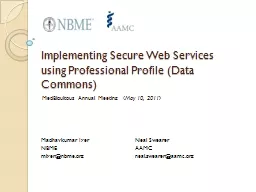 Implementing Secure Web Services using Professional Profile