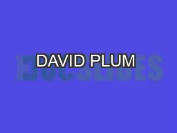 DAVID PLUM & Co.