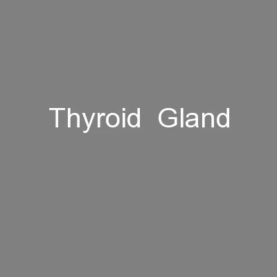Thyroid  Gland