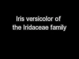 Iris versicolor of the Iridaceae family
