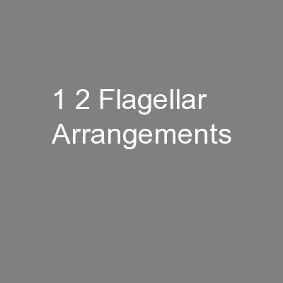 1 2 Flagellar Arrangements