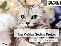 Cat Welfare Society Project
