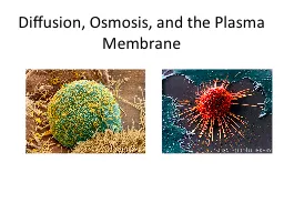 Diffusion, Osmosis, and the Plasma Membrane