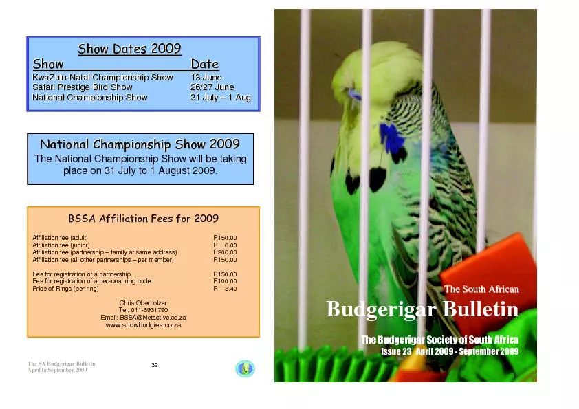The SA Budgerigar BulletinApril to September 2009