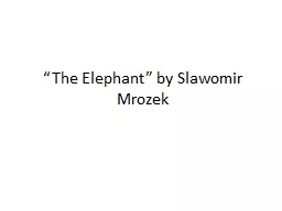 “The Elephant” by