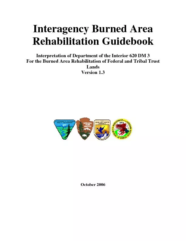 Interagency Burned Area Rehabilitation Guidebook