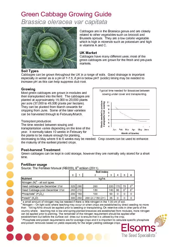 PDF-		\r\n\n\n thumbnail