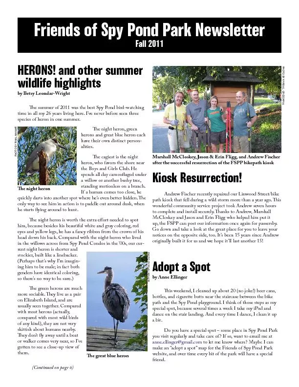 HERONS! and other summer