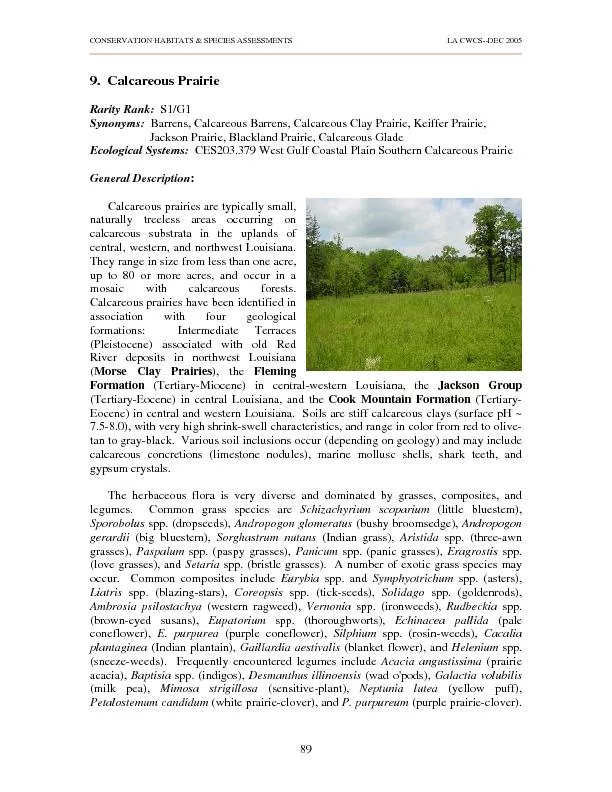 Ecological Systems:  CES203.379 West Gulf Coastal Plain Southern Calca