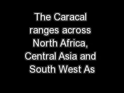 The Caracal ranges across North Africa, Central Asia and South West As