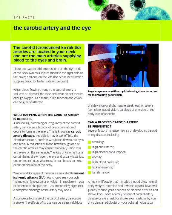 the carotid artery and the eye